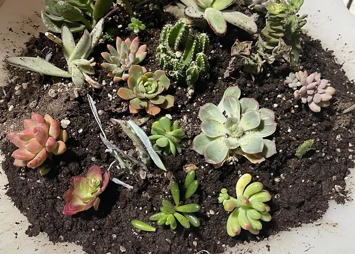 Greta Family House Daire Roma